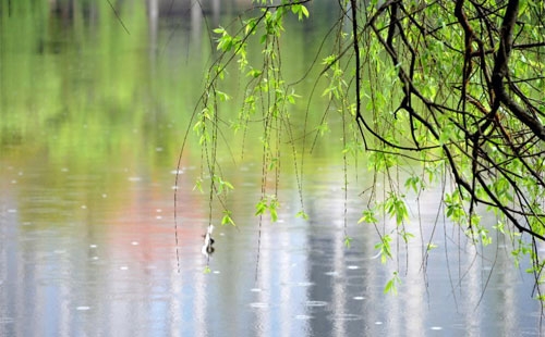 雨中的化學(xué)守護(hù) —— 澳力邁商貿(mào)化工原料與洗滌劑原料的應(yīng)用實(shí)踐